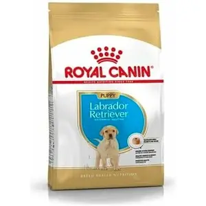 Pienso Royal Canin Cachorro/Junior Pollo 3 Kg