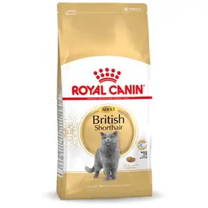 Royal Canin Futter Für Erwachsene British Shorthair Katzen 4kg günstig