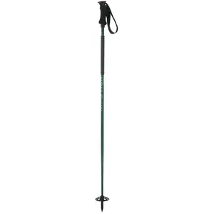 Skistock Elan Ripstick Vert 125 cm günstig