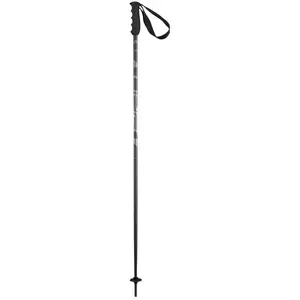 Skistock Elan Speed Noir 110 cm günstig