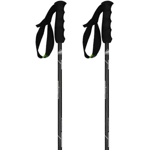 Elan Carbonrod Stöcke 120 cm günstig