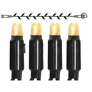 Star Trading 491-01-1, 98 Lampen, LED, Warmweiß, 2400 K, 97 lm, 20000 ...