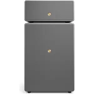 Audio Pro Drumfire II W (Airplay 2, Bluetooth, Chromecast, WLAN), Multiroom System, Grau