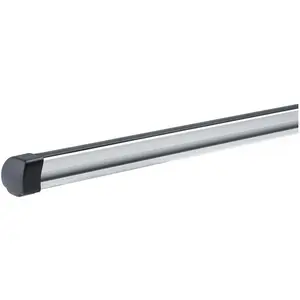 Thule, Dachträger, Traverse Professional günstig
