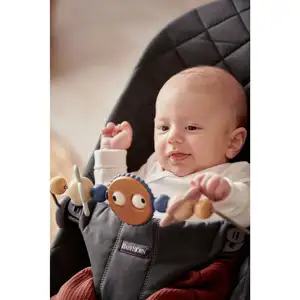 BabyBjorn Babybjörn Spielbogen für Babywippe günstig