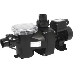 1,5 ps, 16 m³/h einphasen-filtrationspumpe Pentair FFL-151 günstig