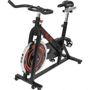 GORILLA SPORTS® Heimtrainer Fahrrad - Ergometer, 13kg Schwungrad, Stuf...