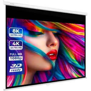 eSmart Professional MIROLO Rollo Leinwand 304,8 cm 120 Zoll günstig
