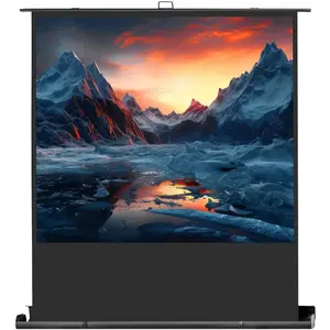 Celexon Ultramobil Plus Professional 120x90 cm (56.30", 4:3), Leinwand, Schwarz