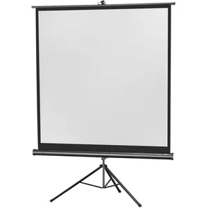 Celexon Leinwand (72.44", 1:1), Leinwand, Schwarz
