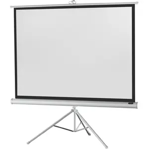 Celexon Economy tripod screen - Projektionsbildschirm mit Stativ - 306 cm (120") (120", 4:3), Leinwand, Weiss