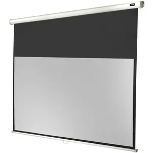 Celexon Rollo Economy, Leinwand, 16:9 (125.20", 16:9), Leinwand, Weiss