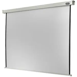 Celexon Motor Professional, Leinwand, 16:9 (241", 16:9), Leinwand, Weiss