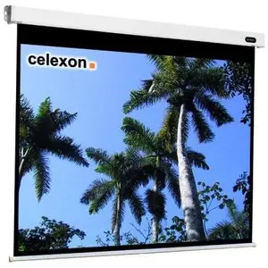 Celexon Motor Professional, Leinwand, 4:3 (116.54", 4:3), Leinwand, Weiss