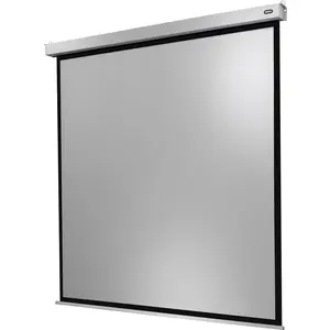 Celexon Motor Professional Plus (100", 1:1), Leinwand, Weiss