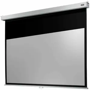 Celexon Rollo Professional Plus, 16:9 (135.50", 16:9), Leinwand, Weiss
