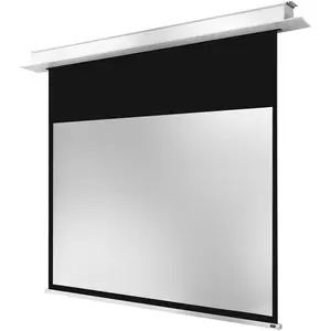 Celexon Electric Professional Plus Ceiling Recessed - Leinwand - Deckenmontage möglich - (4:3), Leinwand, Weiss günstig