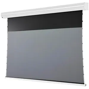 Celexon Leinwand Motor HomeCinema Plus Tension - CLR UST, 120" weiss (120", 16:9), Leinwand, Weiss günstig