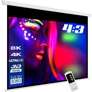 eSmart Professional MIMOTO Motor Leinwand 350,5 cm 138 Zoll günstig