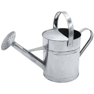 Spetebo Gießkanne Zink Gießkanne silber - 5 L (1 Gießkanne, 1-tlg., Gi... günstig