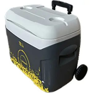 Powershot Coolbox 28l Steife Tragbare Kühlbox 28L