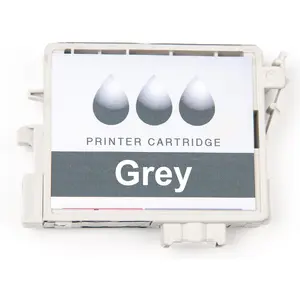 TonerPartner Inkadoo, Druckerpatrone, Druckerpatronen kompatibel zu Canon 4870B001 / PGI-29DGY Tintenpatrone, grau Grau (GY) günstig