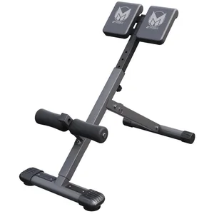 GORILLA SPORTS Rückentrainer E-Series Rückentrainer, (1-tlg) günstig