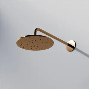 Steinberg, Duschbrause, Serie 100 Kopfbrause, Regenbrause, rund, 250x8 mm, 1001686 (20 l/min) günstig