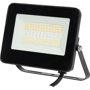 Prios Liezel LED-Außenstrahler 30W RGBW Tuya