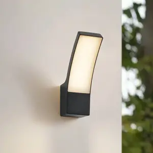 Lindby LED-Außenwandlampe Ilvita, anthrazit, Metall, IP54