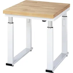 STIER Elektrisch Höhenverstellbare Werkbank Premium BxTxH 750x900x740-...