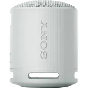 Sony SRS-XB100 Grau günstig