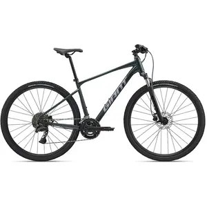 Giant Roam 2 Rdu602010 2026 Fahrrad L günstig
