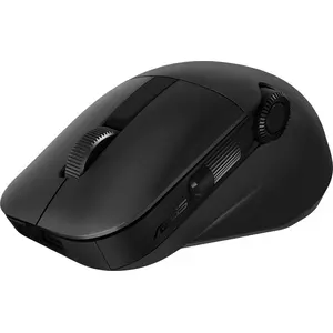 ASUS MD300 ProArt Büro Maus RF Wireless + Bluetooth, schwarz