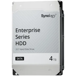 Synology Enterprise HDD 4TB 3.5 Zoll SATA Interne Festplatte