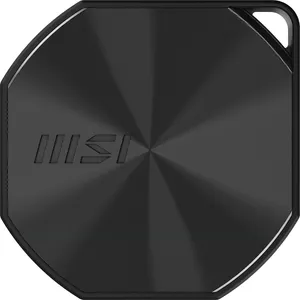 MSI DATAMAG 20GBPS 1TB, 1 TB, USB Typ-C, USB 3.2 Gen 2x2, 1600 MB/s, 2...