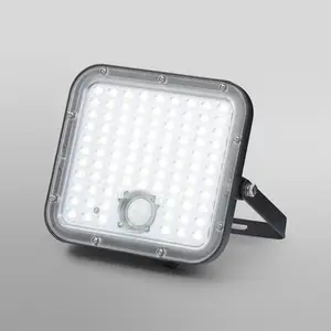 OSRAM Solar-Außenstrahler ENDURA, 30 W, Sensor, 4.000 K IP65