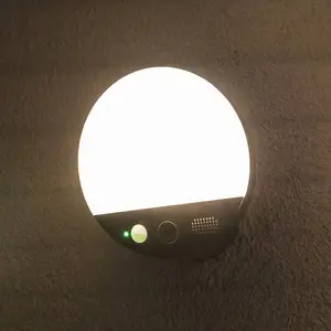 OSRAM SMART+ WiFi Außenwandlampe ROUND, Kamera, Sensor, grau
