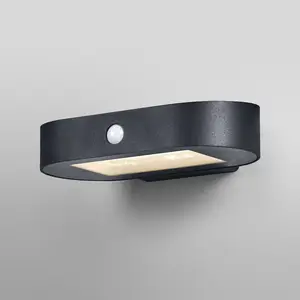OSRAM LED-Sensor-Wandlampe ENDURA STYLE SOLAR OVAL 20 cm 830