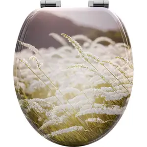 WOLTU Toilettendeckel mit Absenkautomatik, WC Sitz Quick-Release, O Form, MDF, Kräuter günstig