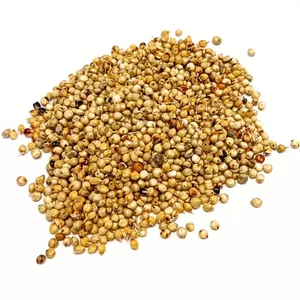 Lyra Pet® Dari weiß 25 kg günstig