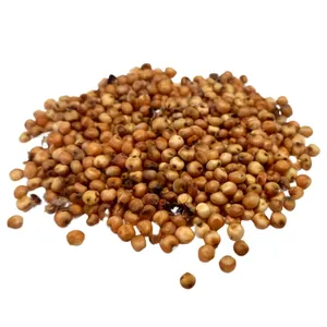 Lyra Pet® Milo 25 kg günstig
