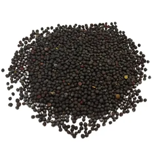 Lyra Pet® Raps 20 kg günstig