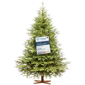 Fairytrees Künstlicher Weihnachtsbaum FT06, Nordmanntanne Exklusiv 100...
