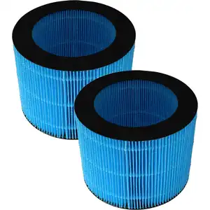 vhbw 2x Filter kompatibel mit Beurer LB200, LB300, LB300 Plus Luftbefe...