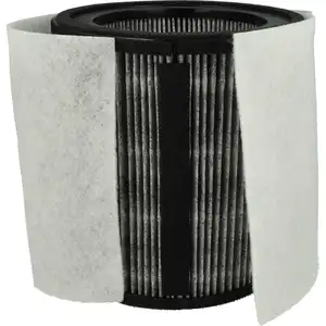 vhbw EPA-Filter E12 kompatibel mit Leifheit / Soehnle Airfresh Clean C...