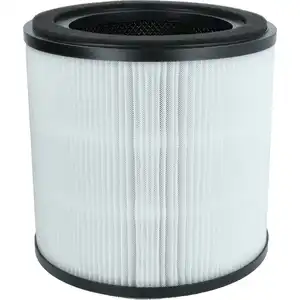 vhbw H13 Filter Ersatz für AEG AFFBRZ2, AFFCAR2 für Luftreiniger - Ers...