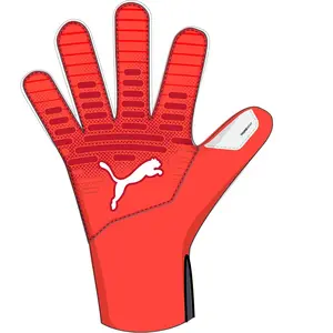 Puma Future Play Nc Torwarthandschuhe 11 günstig