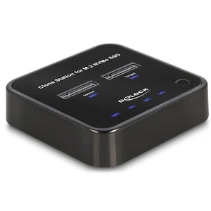 Delock M.2 Dockingstation für 2 x M.2 NVMe PCIe SSD mit Klon Funktion