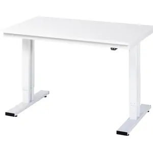 RAU, Werkbank + Arbeitsbock, Arbeitsplatz, höhenverstellbar (125 cm, 80 cm)